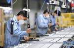 廣東各體育產(chǎn)業(yè)單位企業(yè)有序復(fù)工復(fù)產(chǎn)